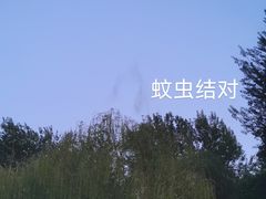 -元大都城垣遗址公园