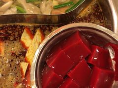 -朱氏胖子烂火锅(洪崖洞店)