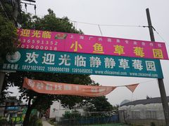 -小鱼草莓采摘园农家乐·小鱼餐厅