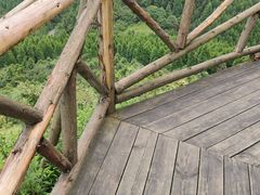 -武陵山森林公园