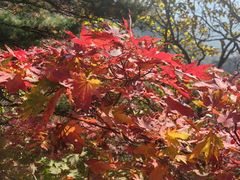 -丹东天桥沟景区