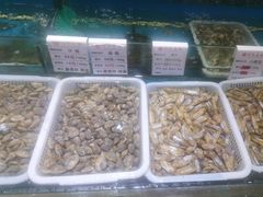 -宝燕壹号(徐汇店)