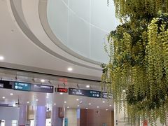 -南方医科大学深圳医院