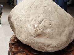 -上海市东方医院(总院)