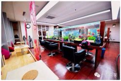 广角美图-小左美发