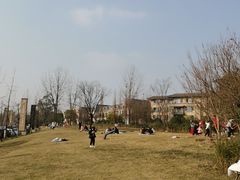 -两河城市森林公园