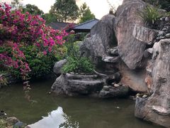 -朝伟清真铜瓢牛肉馆(三十年老·店)