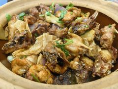 -广宁炭炉鸡煲·富临门饭店