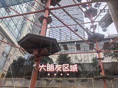 -中国福利会少年宫
