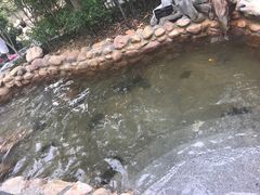 -深业半汤御泉庄温泉