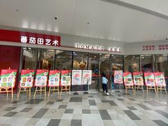 -蕃茄田艺术•美术绘画 •硬笔书法(滨江海威领界店)