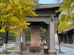 -护国法轮寺