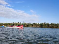 -春花秋色城市公园