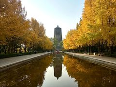 -玲珑塔公园