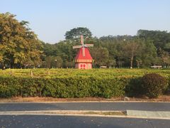 -东莞植物园