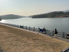 -佛手湖郊野公园