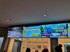 -圣淘沙天际线斜坡滑车