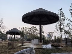 -武汉动物园