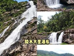 -海南霸王岭国家森林公园