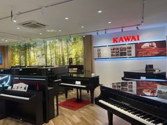 -柏斯琴行(汾阳店)