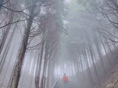 -萍乡武功山风景名胜区