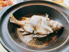 油盐焗海立鱼-百味馆·粤菜·湛江菜(后海花园店)