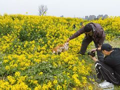 -三圣花乡旅游区