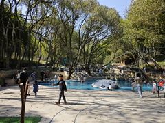 -东明山森林公园