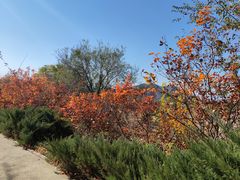 -北京十三陵国家森林公园蟒山景区