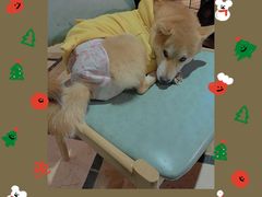 -猫色咖啡·猫咖