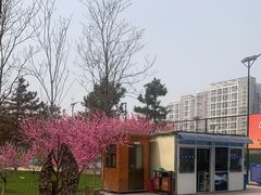 -回龙观体育文化公园