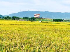 -光明小镇欢乐田园