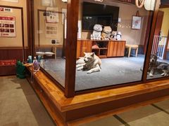 -大江户·温泉洗浴(浑南店)