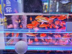 -番禺华丰汇购物中心