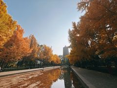 -玲珑塔公园