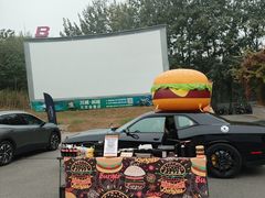 -枫花园汽车电影院(朝阳公园店)