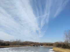 -大兴滨河森林公园