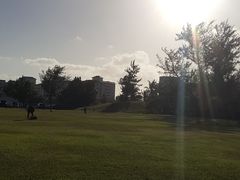 -美国纪念公园