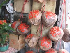 IMG_9288-洪馨椰子
