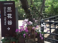 442-三亚亚龙湾人间天堂鸟巢度假村