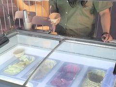 -维尔纳斯·生日蛋糕动物奶油冰淇淋蛋糕(人大店)