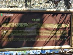 -呀路古热带植物园