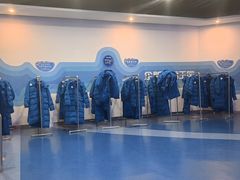 -海合安武汉极地海洋公园