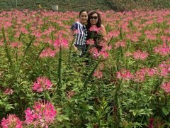 -北纬44度·金珠花海休闲农业旅游景区