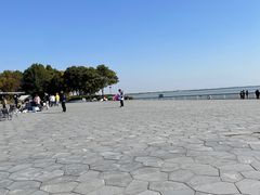 -贡湖湾湿地公园