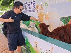 -灵玲国际马戏城