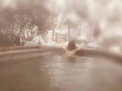 -天目湖涵田半山温泉