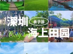 -海上田园