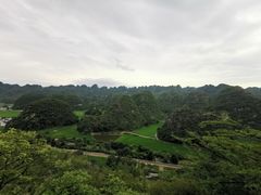 -万峰林风景区