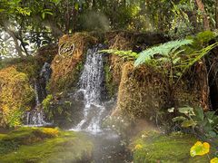 -Chom Cafe and Restaurant